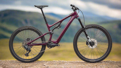 Specialized Turbo Levo SL 2 Expert